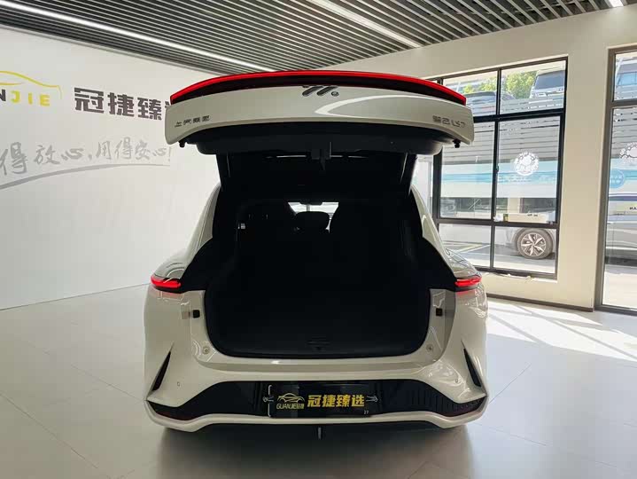 Фото 17 - IM motors LS7