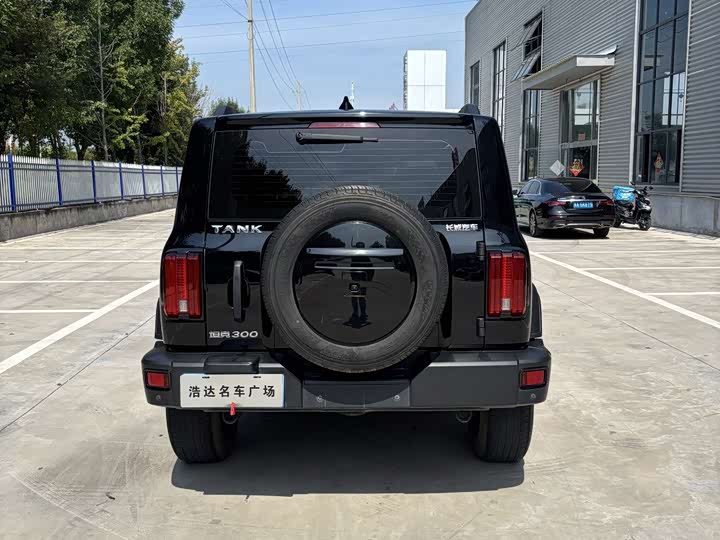 Фото 6 - Tank 300