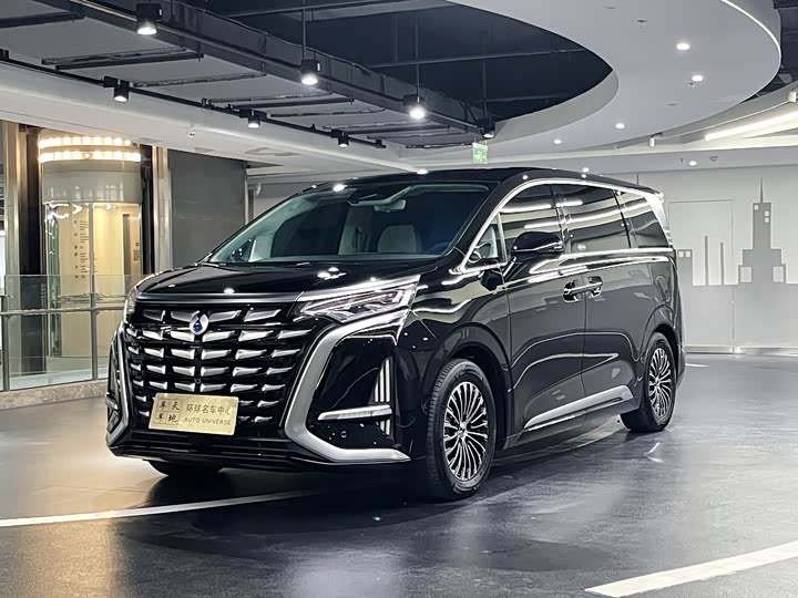 Фото 1 - Denza D9