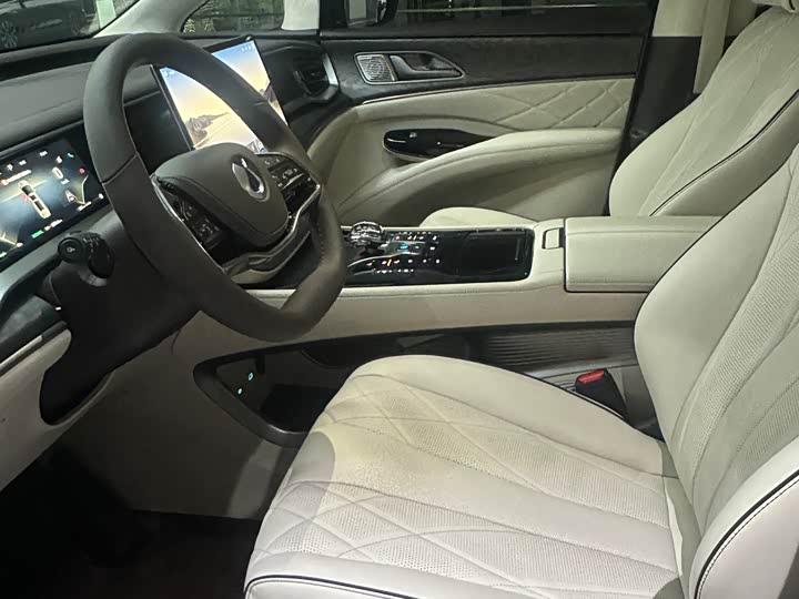 Фото 12 - Denza D9