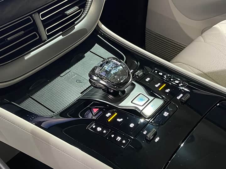 Фото 14 - Denza D9