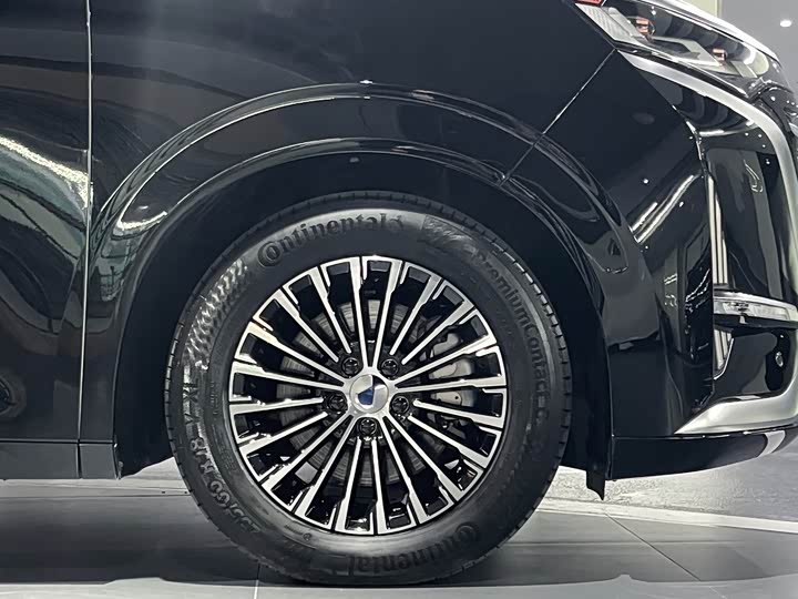 Фото 16 - Denza D9