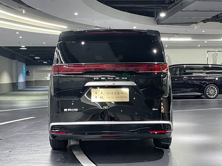 Фото 17 - Denza D9