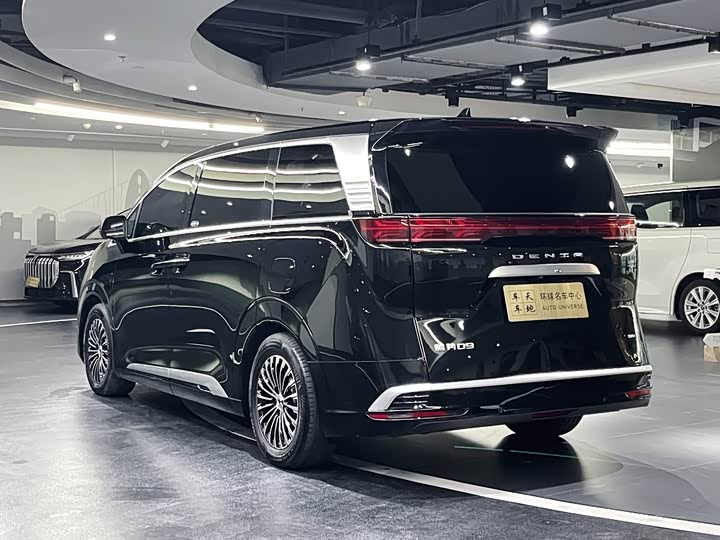 Фото 19 - Denza D9