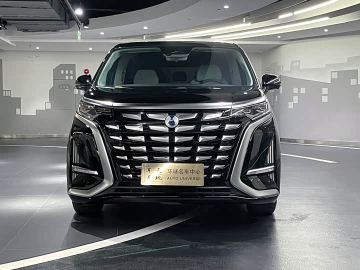 Фото 2 - Denza D9