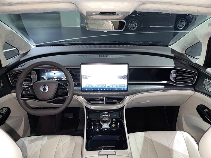 Фото 4 - Denza D9