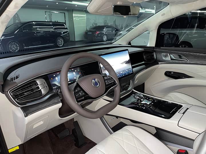 Фото 6 - Denza D9