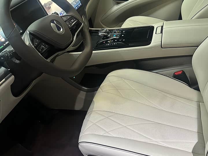 Фото 8 - Denza D9