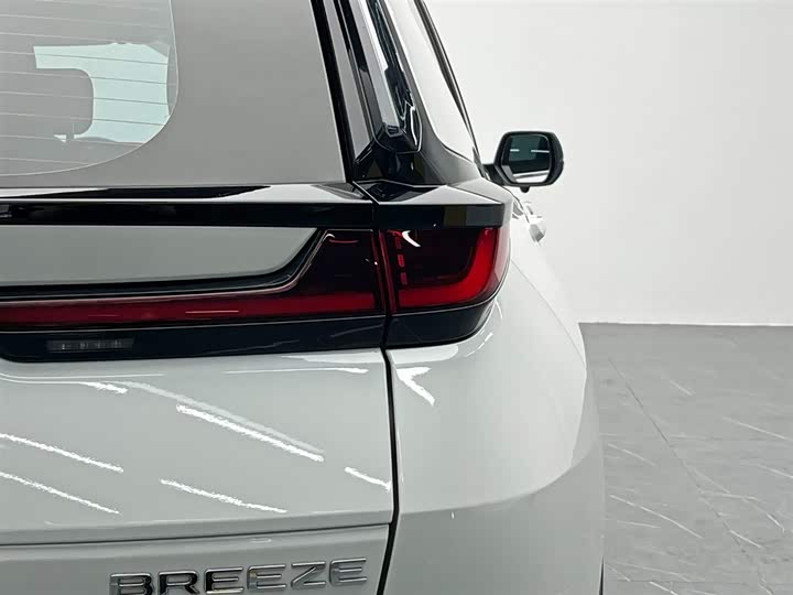 Фото 11 - Honda Breeze