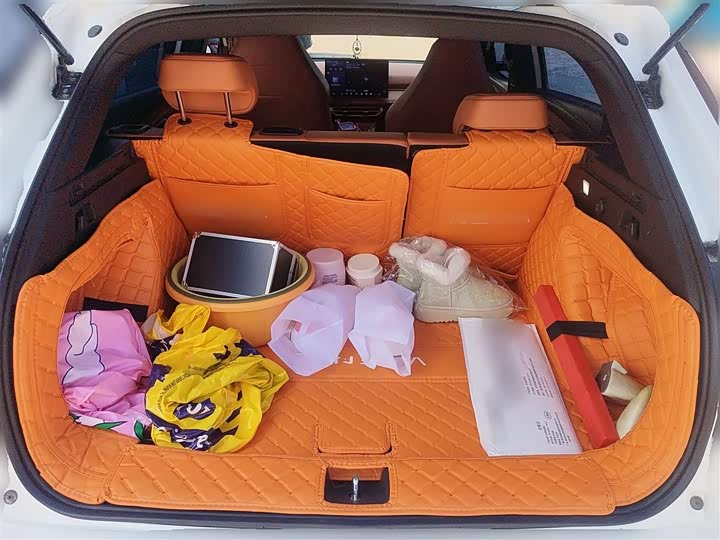 Фото 10 - Hozon X