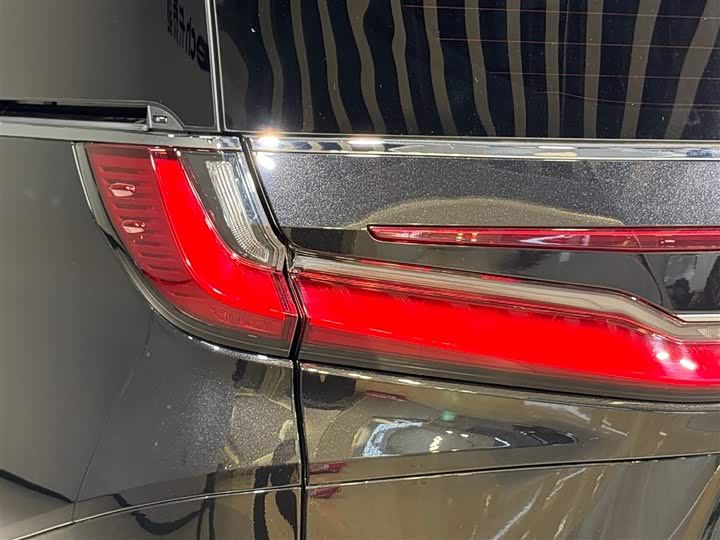 Фото 11 - Lexus LM