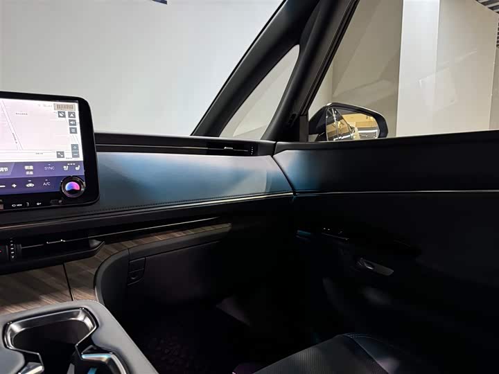 Фото 22 - Lexus LM