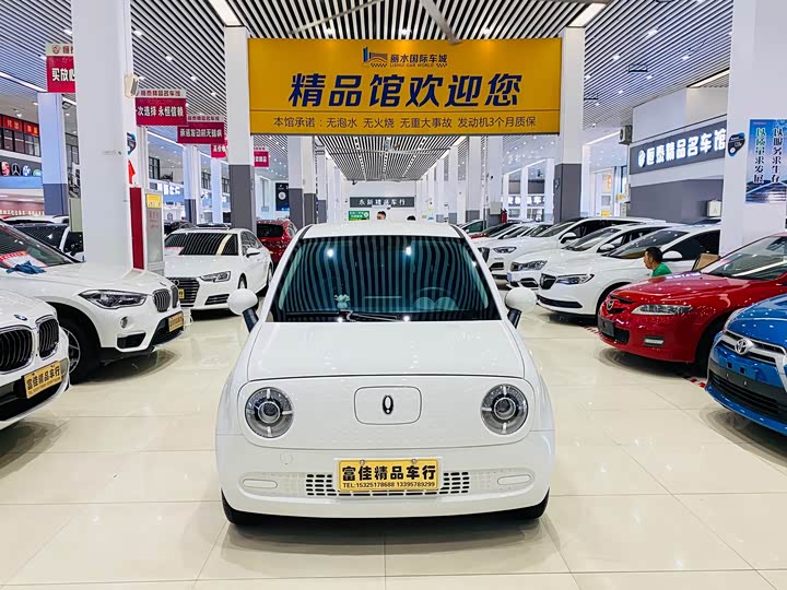 Photo 2 - Ora Black Cat