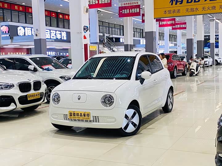 Photo 3 - Ora Black Cat