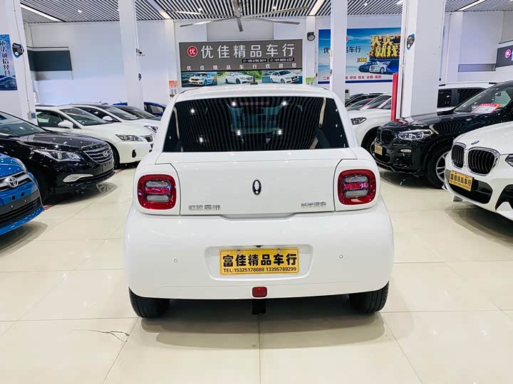 Photo 4 - Ora Black Cat