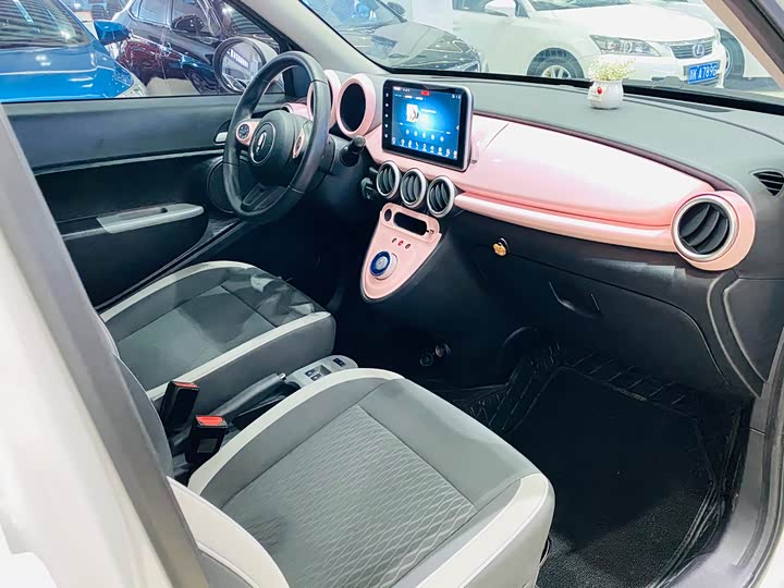 Photo 9 - Ora Black Cat