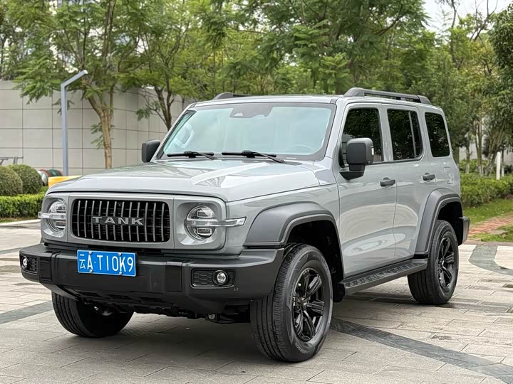 Фото 1 - Tank 300