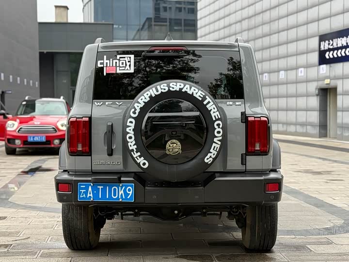 Фото 17 - Tank 300