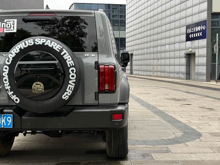 Фото 19 - Tank 300