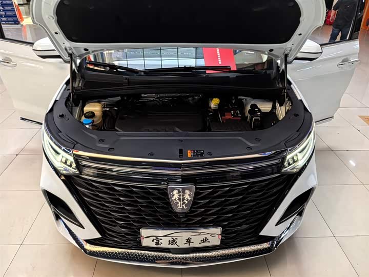 Фото 23 - Roewe iMax 8