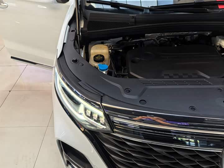 Фото 25 - Roewe iMax 8