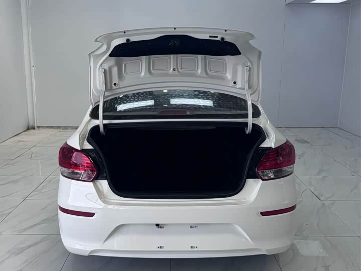 Фото 12 - Kia Pegas