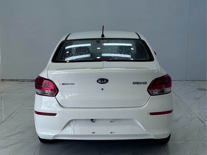 Фото 5 - Kia Pegas