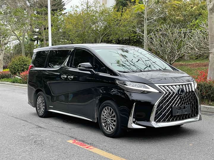 Фото 1 - Lexus LM