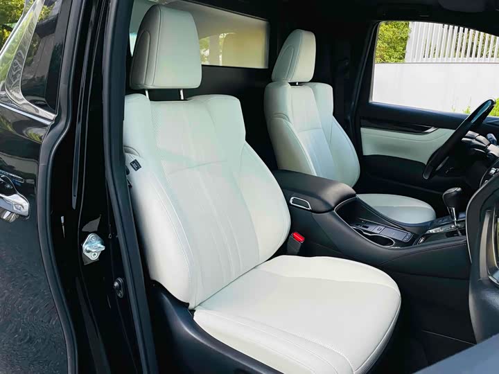 Фото 12 - Lexus LM