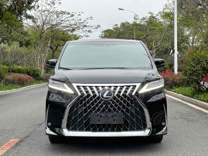 Фото 2 - Lexus LM