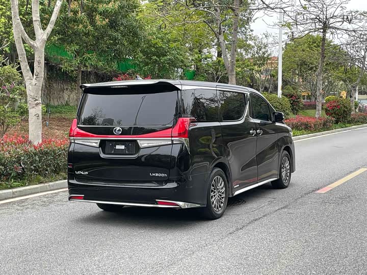 Фото 4 - Lexus LM