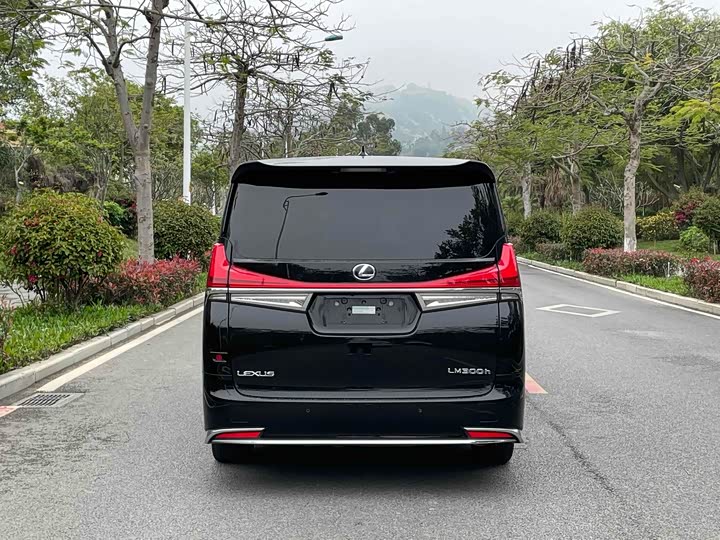 Фото 5 - Lexus LM