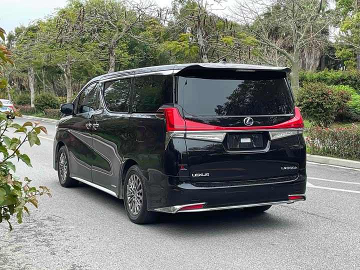Фото 6 - Lexus LM