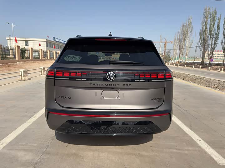 Фото 15 - Volkswagen Teramont Pro