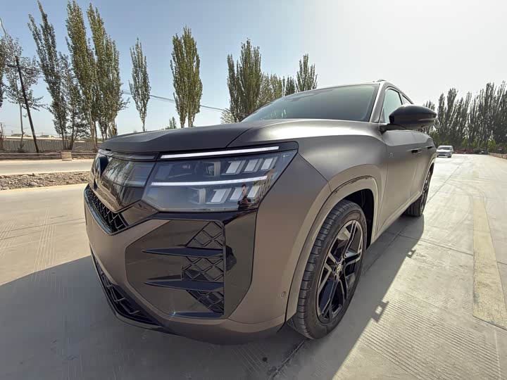 Фото 4 - Volkswagen Teramont Pro