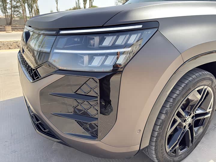 Фото 6 - Volkswagen Teramont Pro