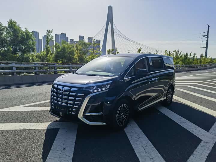 Фото 1 - Denza D9