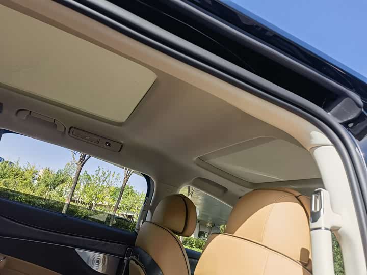 Фото 10 - Denza D9