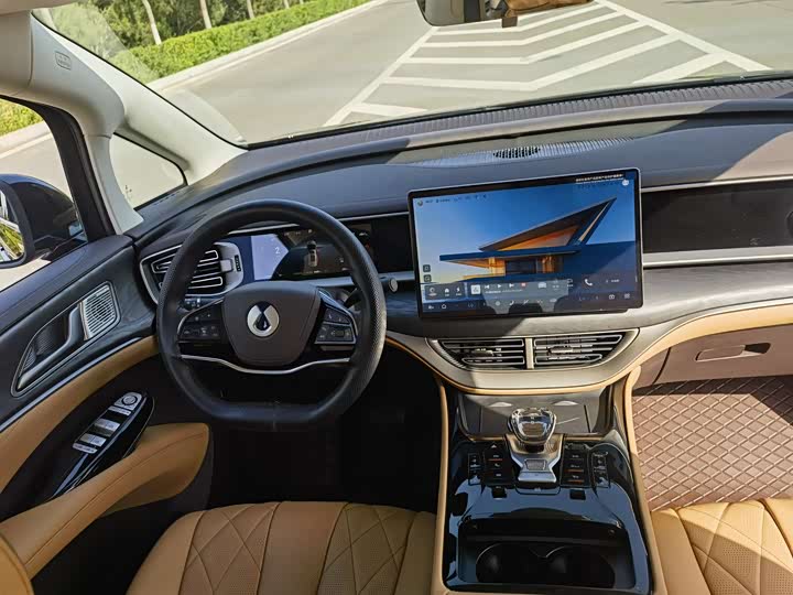 Фото 11 - Denza D9