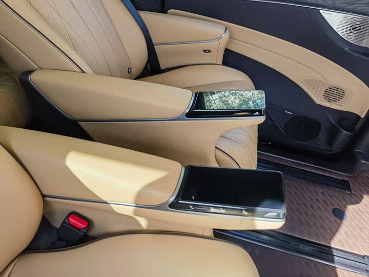 Фото 13 - Denza D9