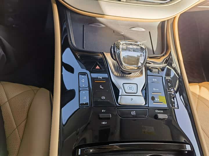 Фото 17 - Denza D9