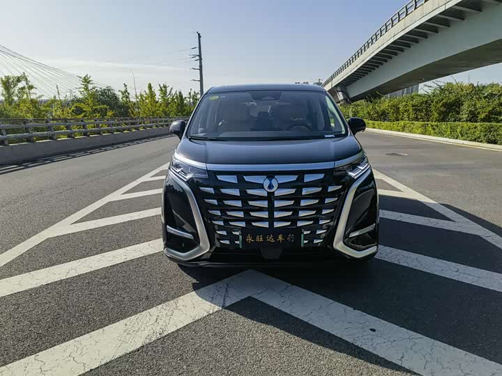 Фото 2 - Denza D9