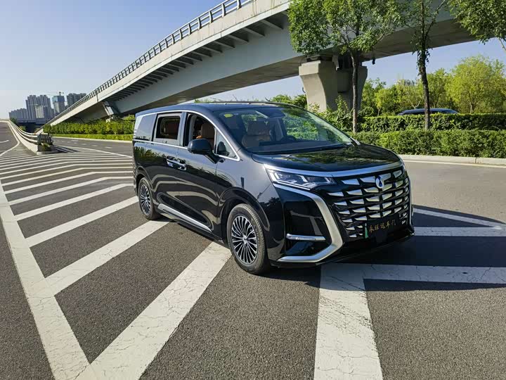 Фото 3 - Denza D9