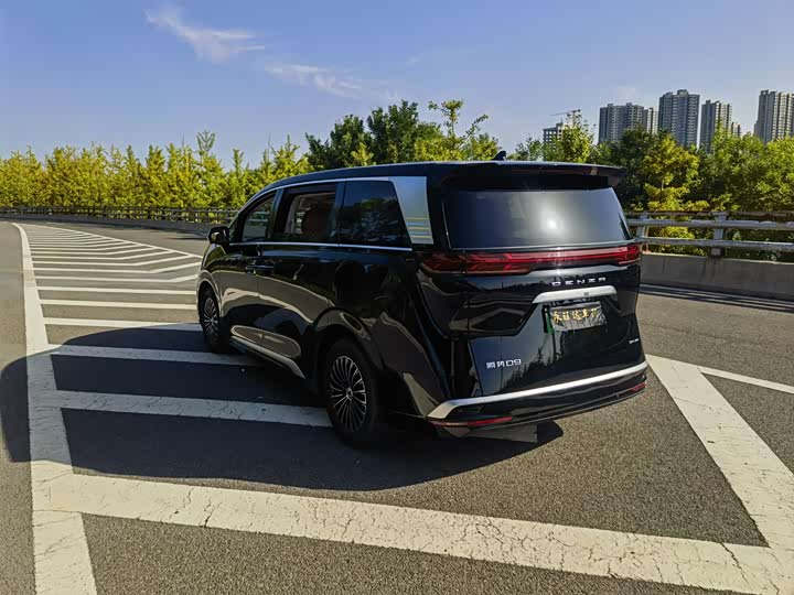 Фото 4 - Denza D9