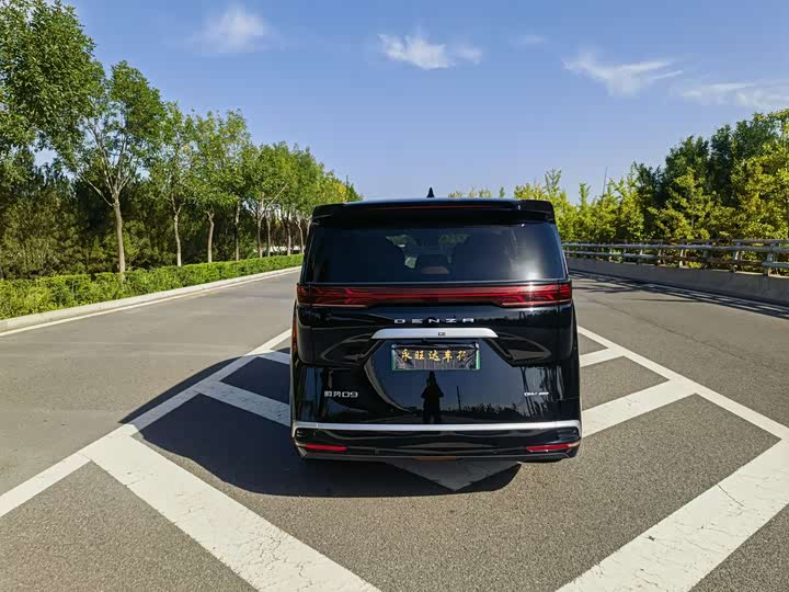 Фото 5 - Denza D9