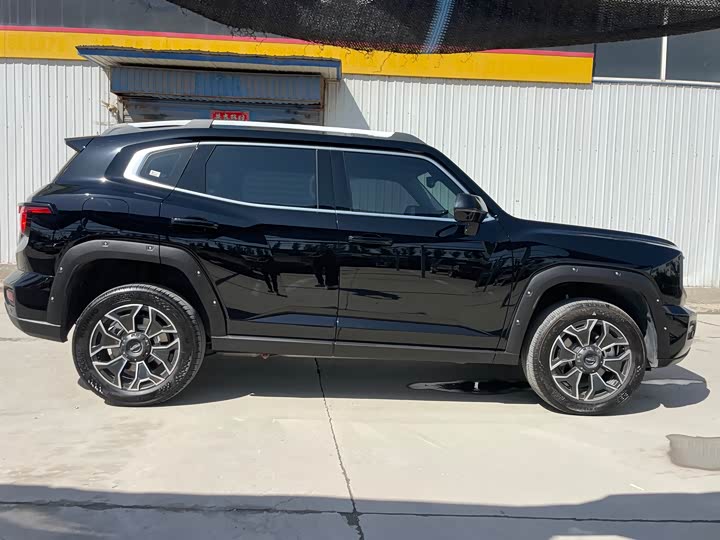 Фото 5 - Haval H-Dog Hybrid