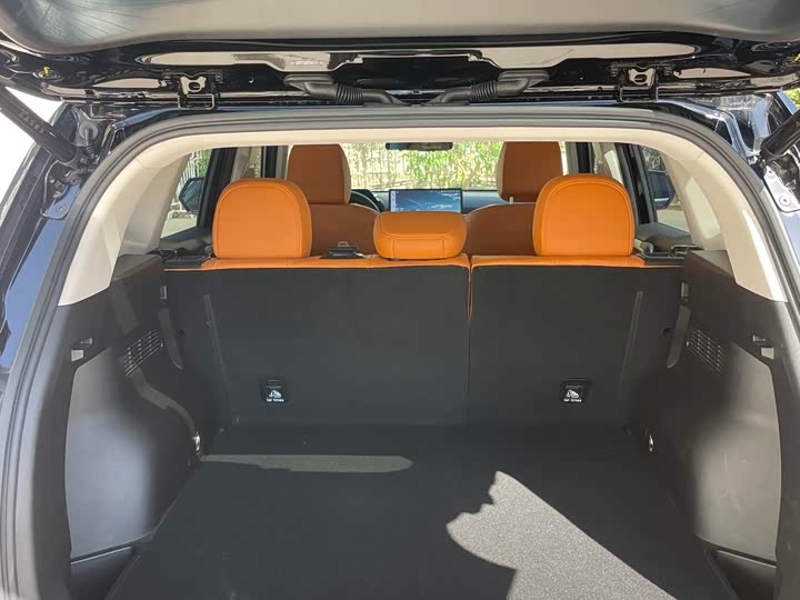 Фото 9 - Haval H-Dog Hybrid