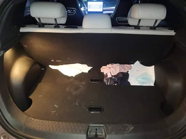 Фото 10 - BYD Dolphin