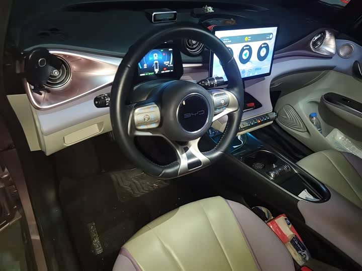 Фото 13 - BYD Dolphin