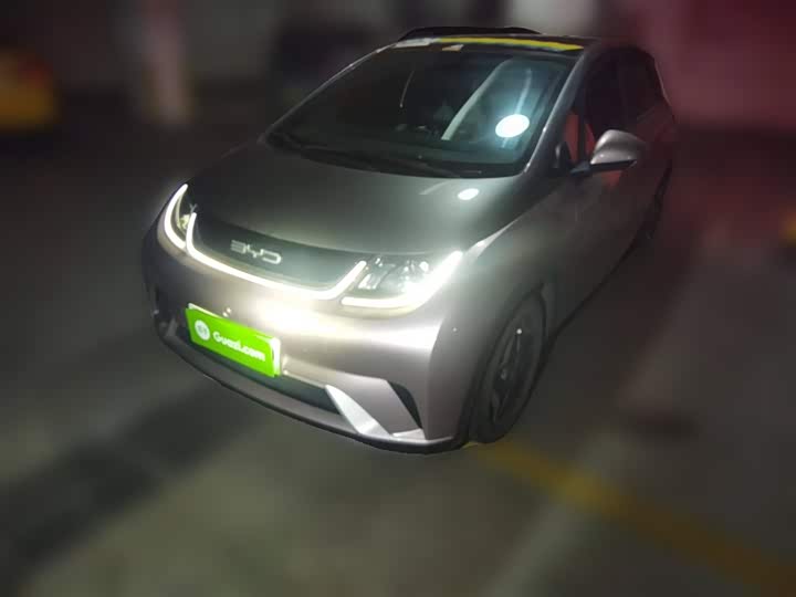 Фото 2 - BYD Dolphin